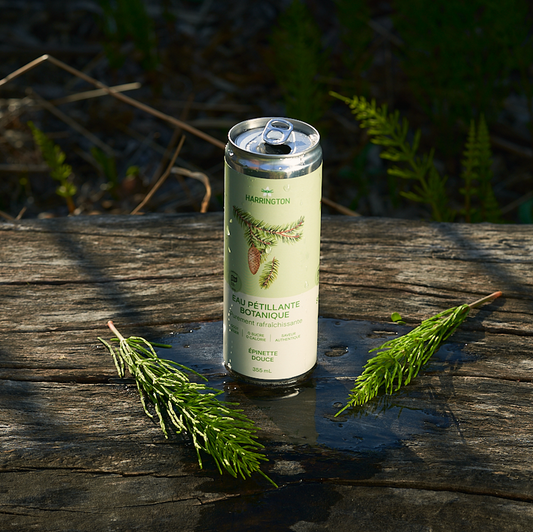 Sweet Spruce Botanical Sparkling Water - 355ml