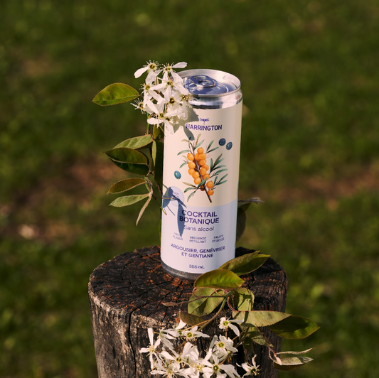 Sea Buckthorn & Juniper Berry Tonic Cocktail (alcohol free) - 355ml