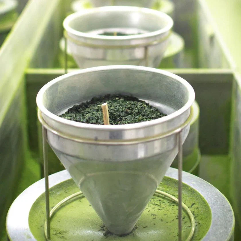 Latté au Matcha - 110g