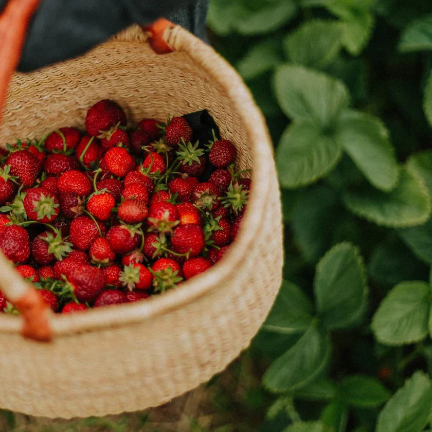 Smoothie Fraise Pitaya - 160g